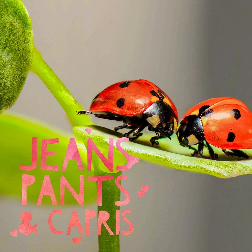 Jeans, Pants and Capri's